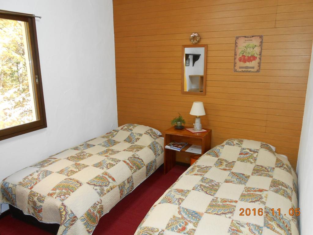 Pension Nugget Inn Hakuba Extérieur photo